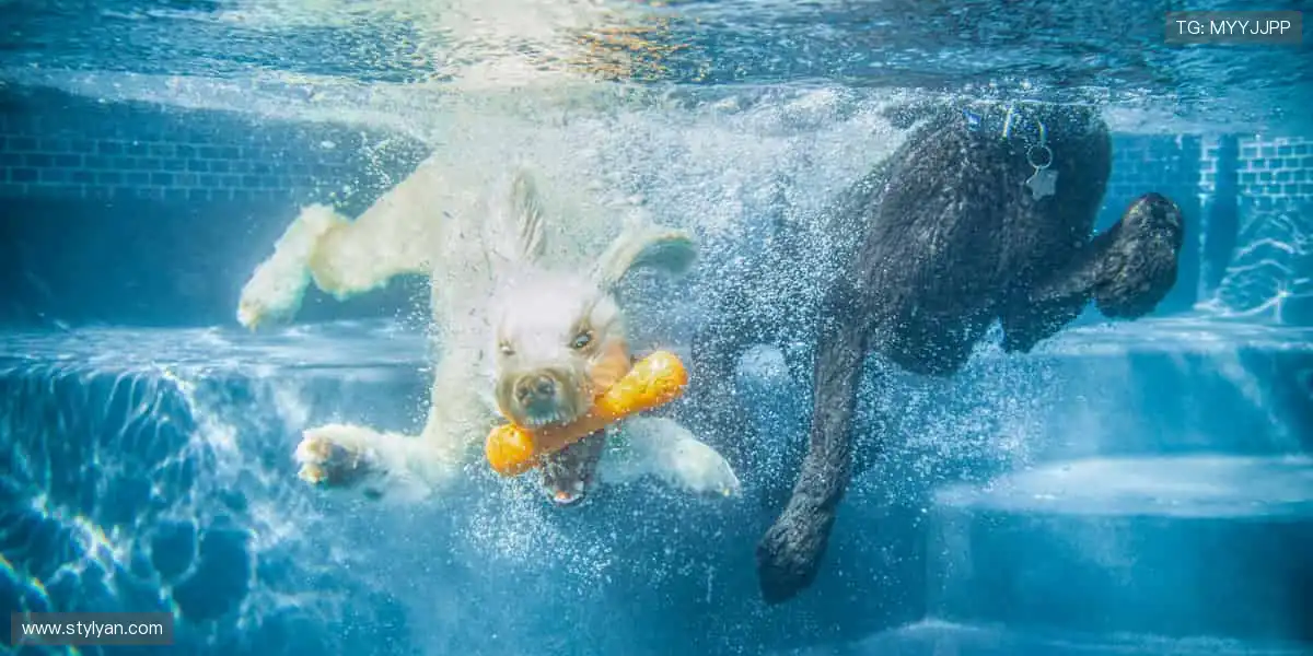 畅玩电子游戏世界:智能匹配公平对局,新手大神都能尽兴